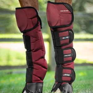 Ballistic Knee Pro-Tech Horse Travel Boots Burgundy
