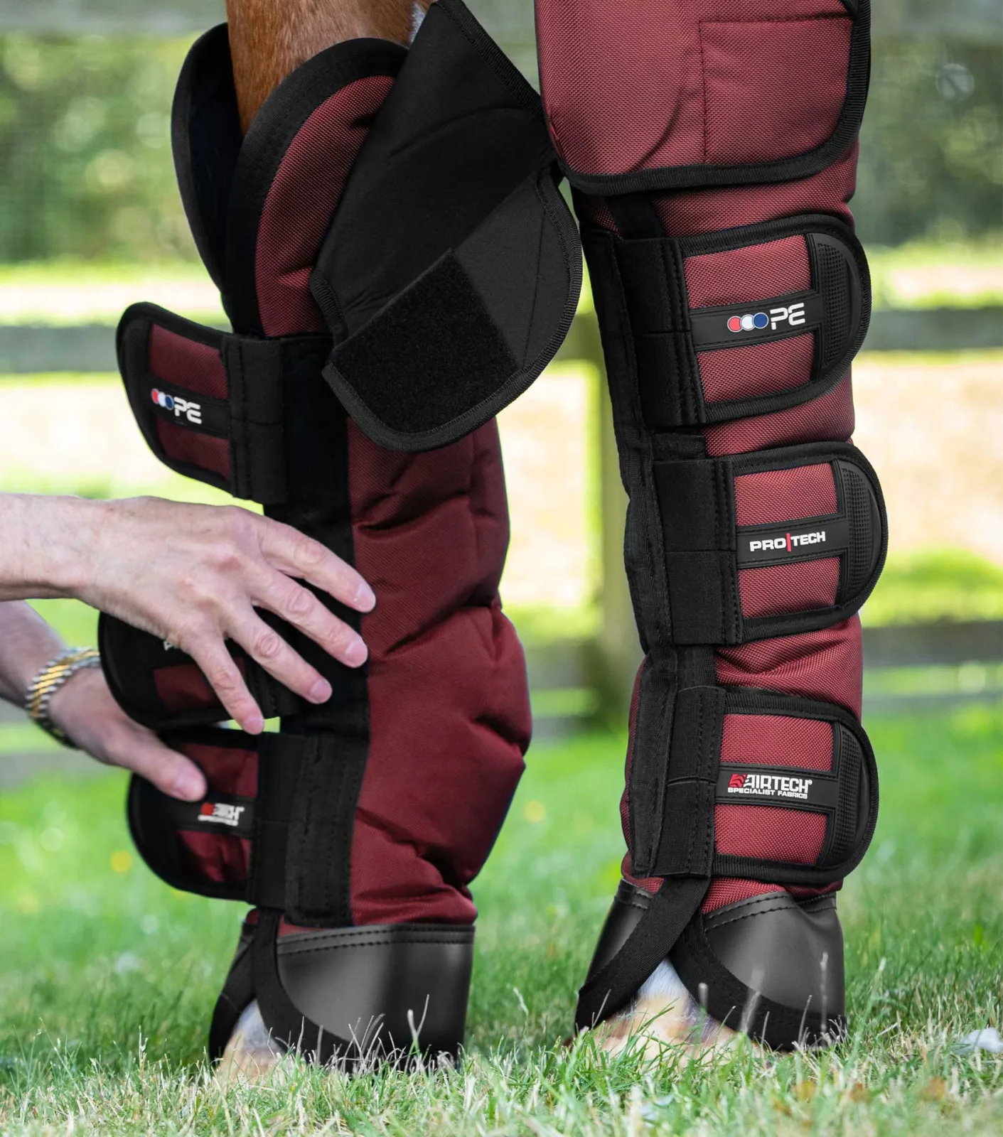 Ballistic Knee Pro-Tech Horse Travel Boots Burgundy - Image 2