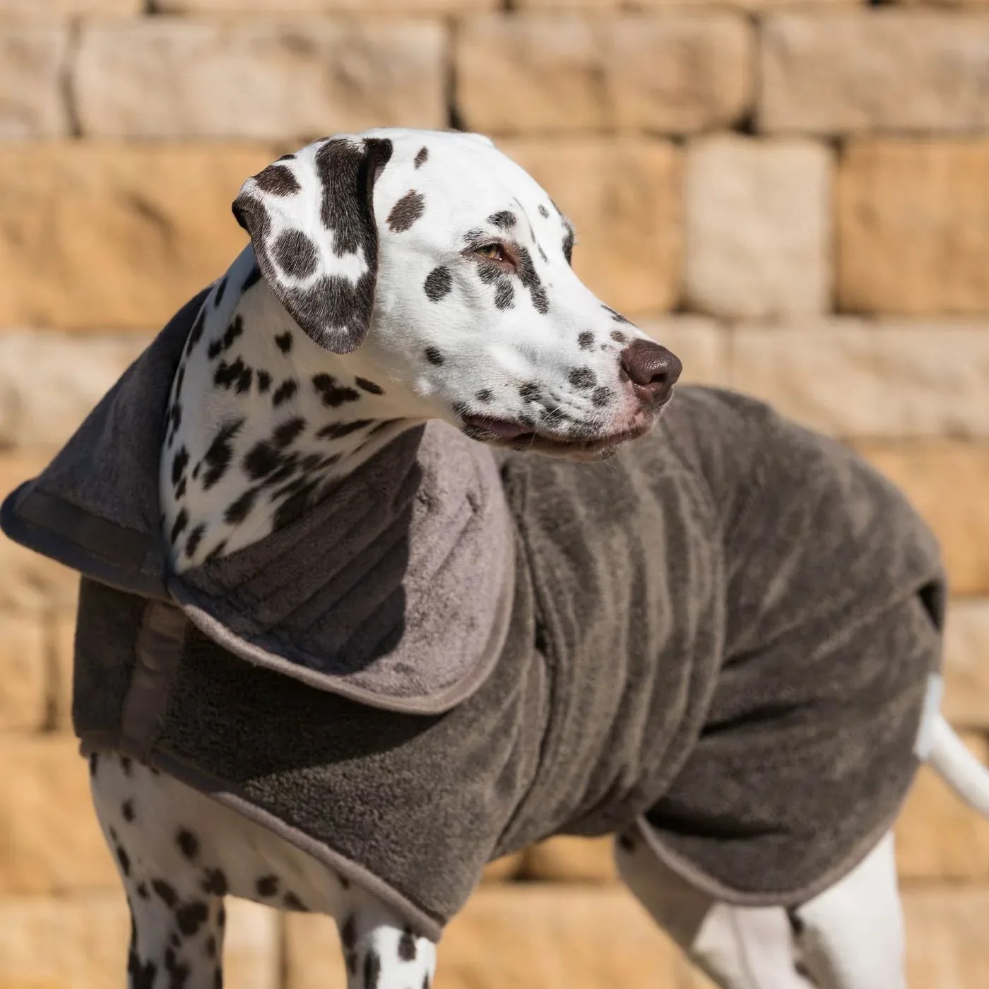 Bamboo Drying Coat in Mole by Lords & Labradors