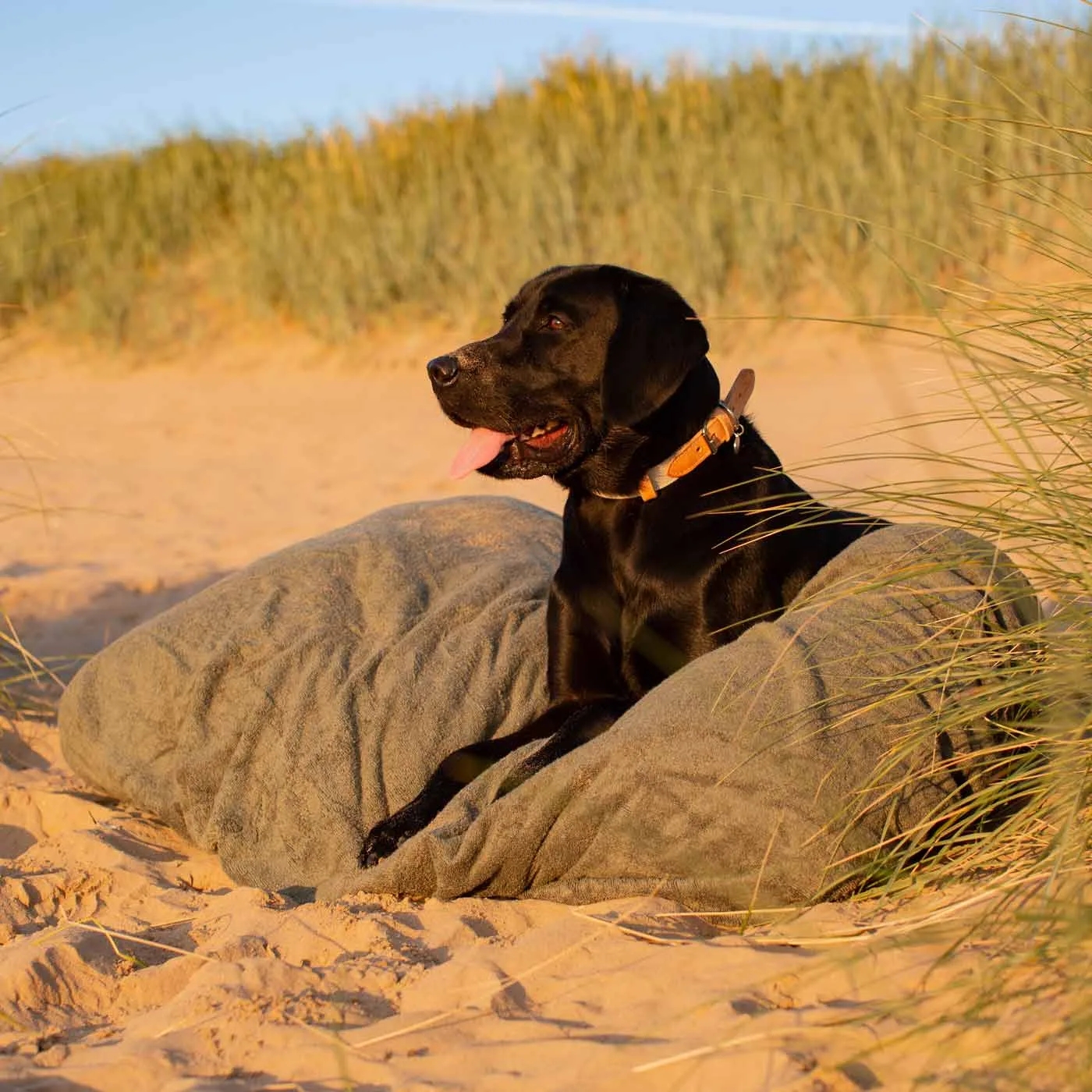Bamboo Drying Cushion Cover in Fir by Lords & Labradors - Image 2