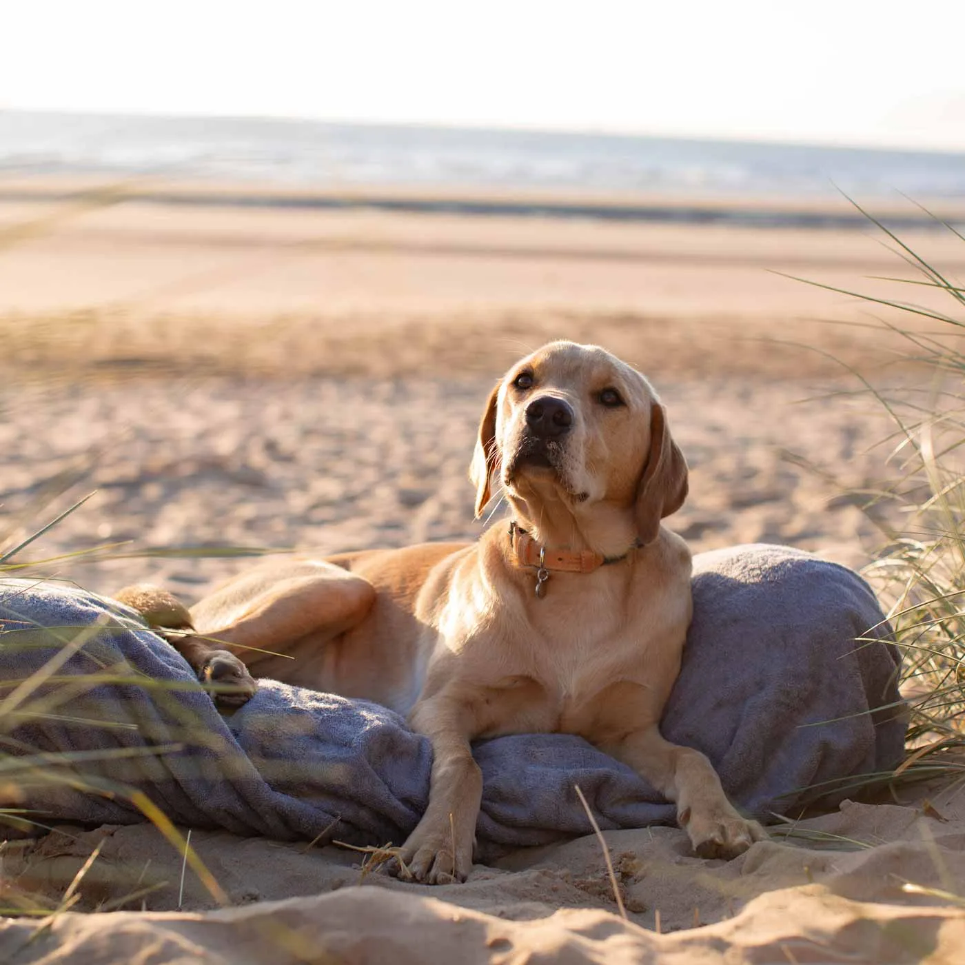 Bamboo Drying Cushion Cover in Gun Metal by Lords & Labradors - Image 2