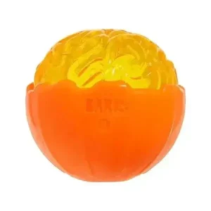 BARK Pumpkin Prodigy Dog Chew Toy
