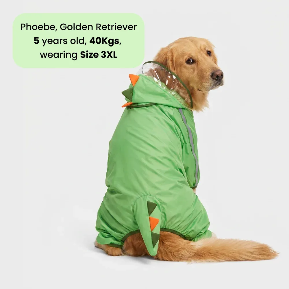 Barkbutler x Fofos Four Leg Dinosaur Raincoat for Dogs (Green)