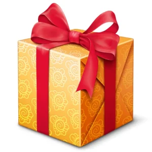 Big Birthday Bash 2025 Gift