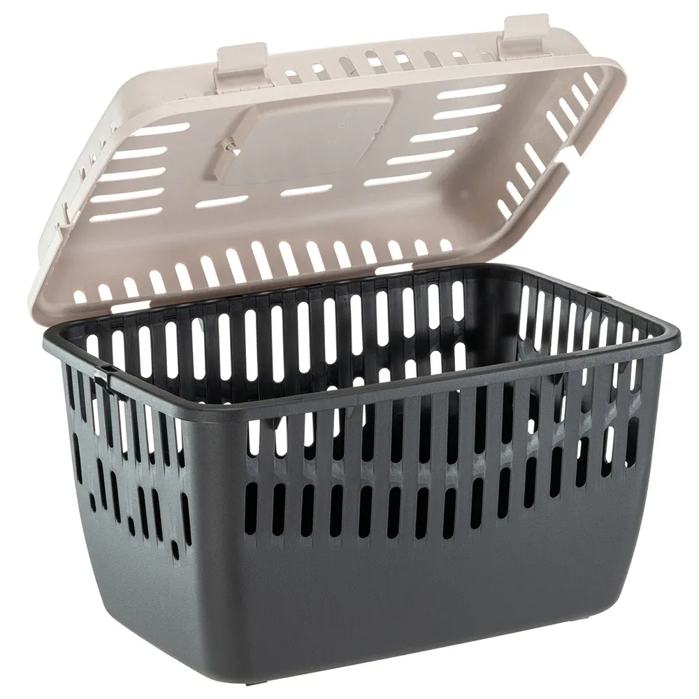 BINNY 2 - Image 2