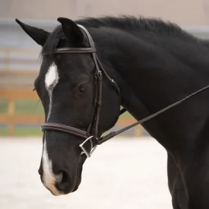 Black Oak Cypress Hunter Bridle
