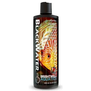 Blackwater (500mL) - Brightwell