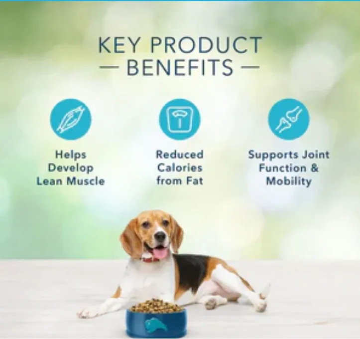 Blue Buffalo Basics Healthy Weight Adult Turkey & Potato Recipe Dog Food 24 lbs. - Image 2