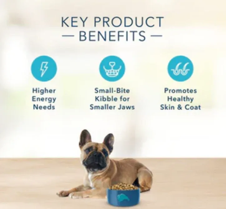 Blue Buffalo Freedom Grain Free Chicken Recipe Small Breed Adult Dry Dog Food - Image 2