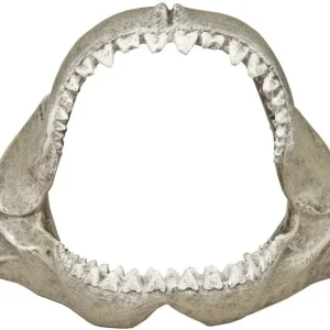Blue Ribbon Great White Shark Jaws Ornament