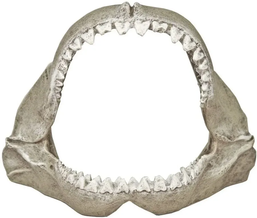 Blue Ribbon Great White Shark Jaws Ornament