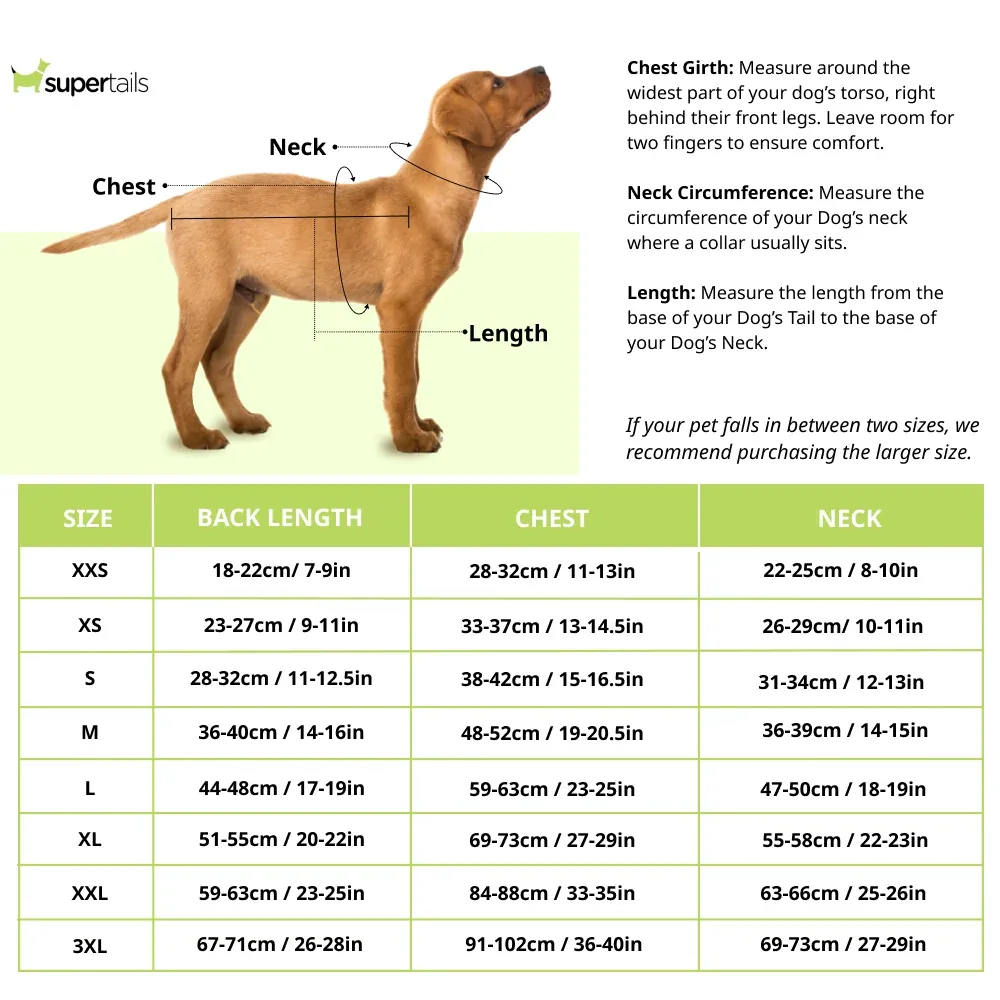 Boss Raincoat for Dogs (Camel) - Image 2