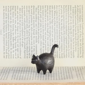 BOTERO CAST IRON CAT