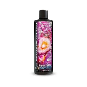 Brightwell Coralline Accelerator 2 Liters. Nutrients for Coralline Algae growth in Marine & Reef Aquariums