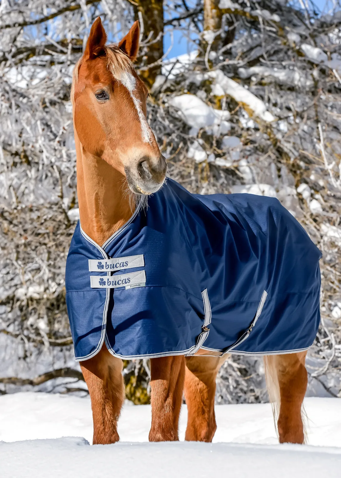 Bucas Freedom Extra Heavy Turnout Blanket