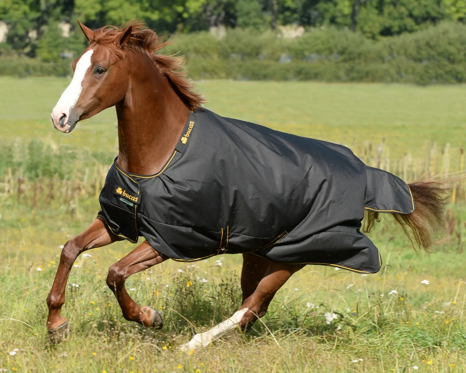 Bucas Irish Classic Lightweight Turnout Blanket