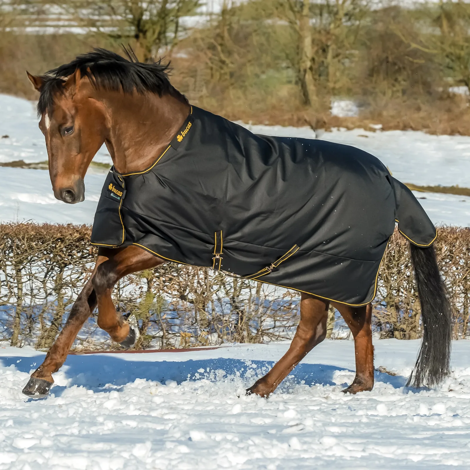 Bucas Irish Extra Classic Heavyweight Turnout Blanket