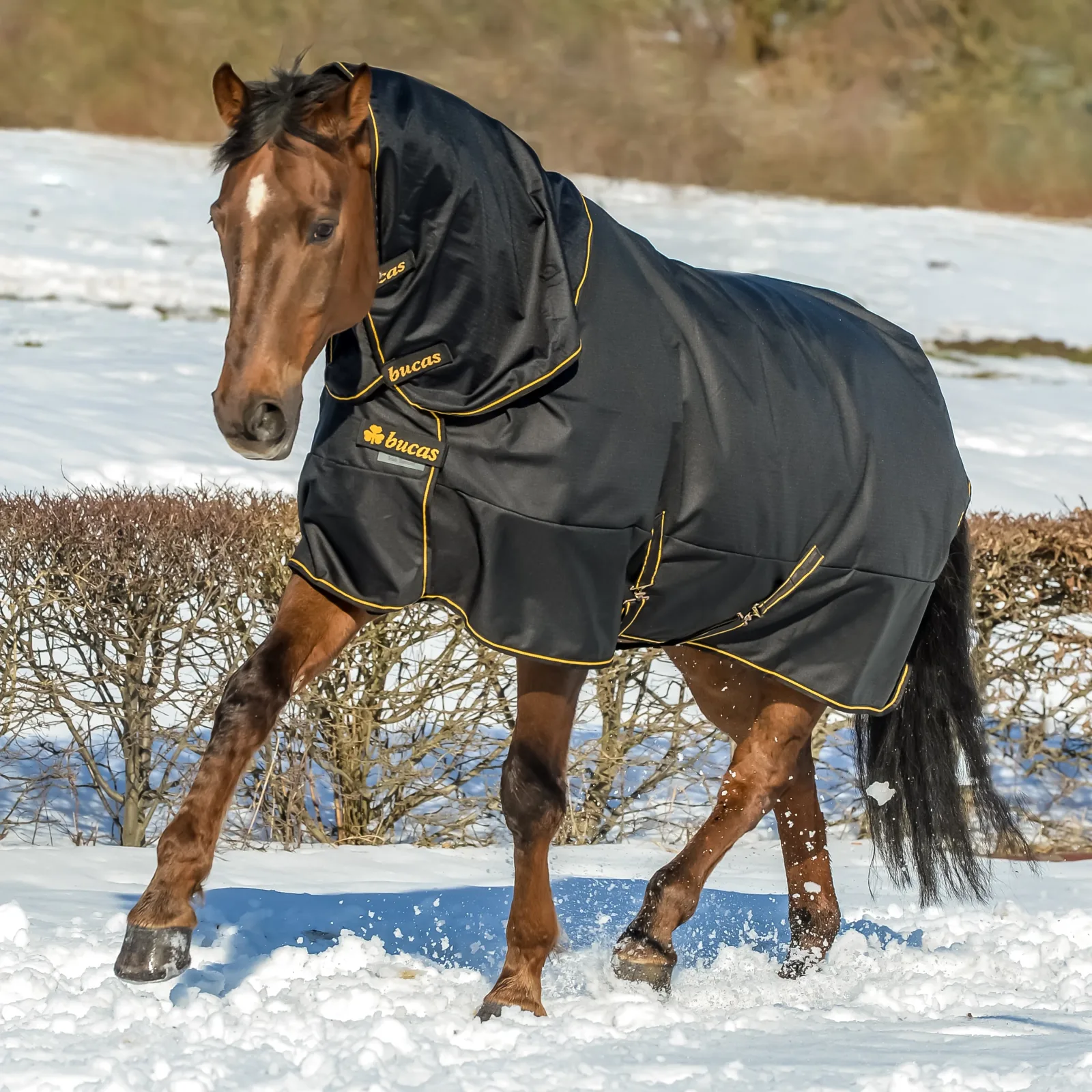 Bucas Irish Extra Classic Heavyweight Turnout Blanket - Image 2