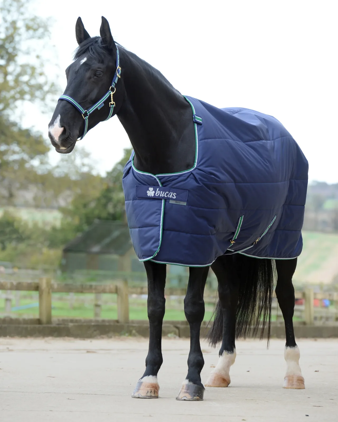 Bucas Quilt Medium-Weight Stable Blanket with Stay Dry™ Lining - 150 grams - Image 2