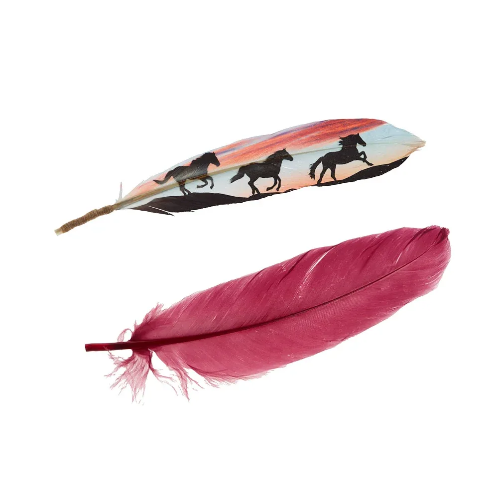 Buckaroo Supply Company Hat Feathers Wild Sunset Horses #6 Feather - Image 2