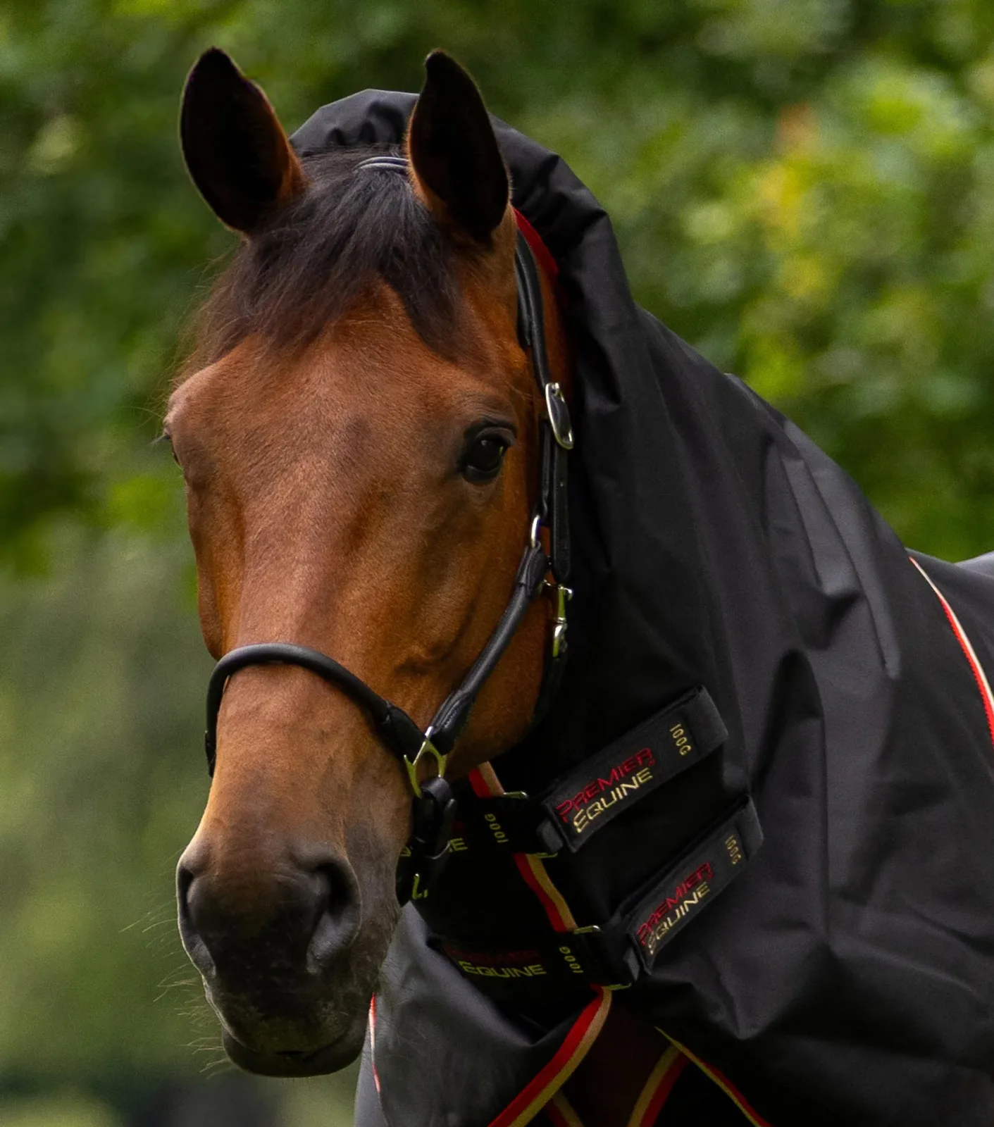 Buster 100g Turnout Rug with Snug-Fit Neck Cover Black - Image 2