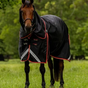 Buster 100g Turnout Rug with Snug-Fit Neck Cover Black