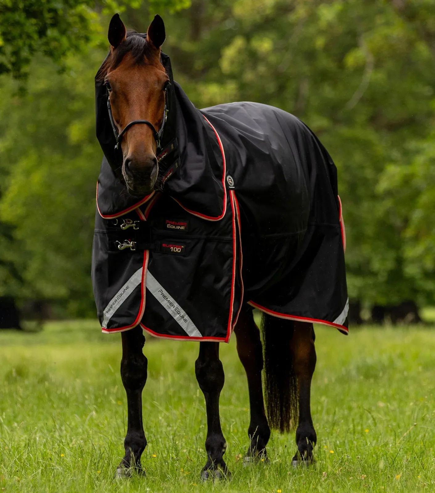 Buster 100g Turnout Rug with Snug-Fit Neck Cover Black