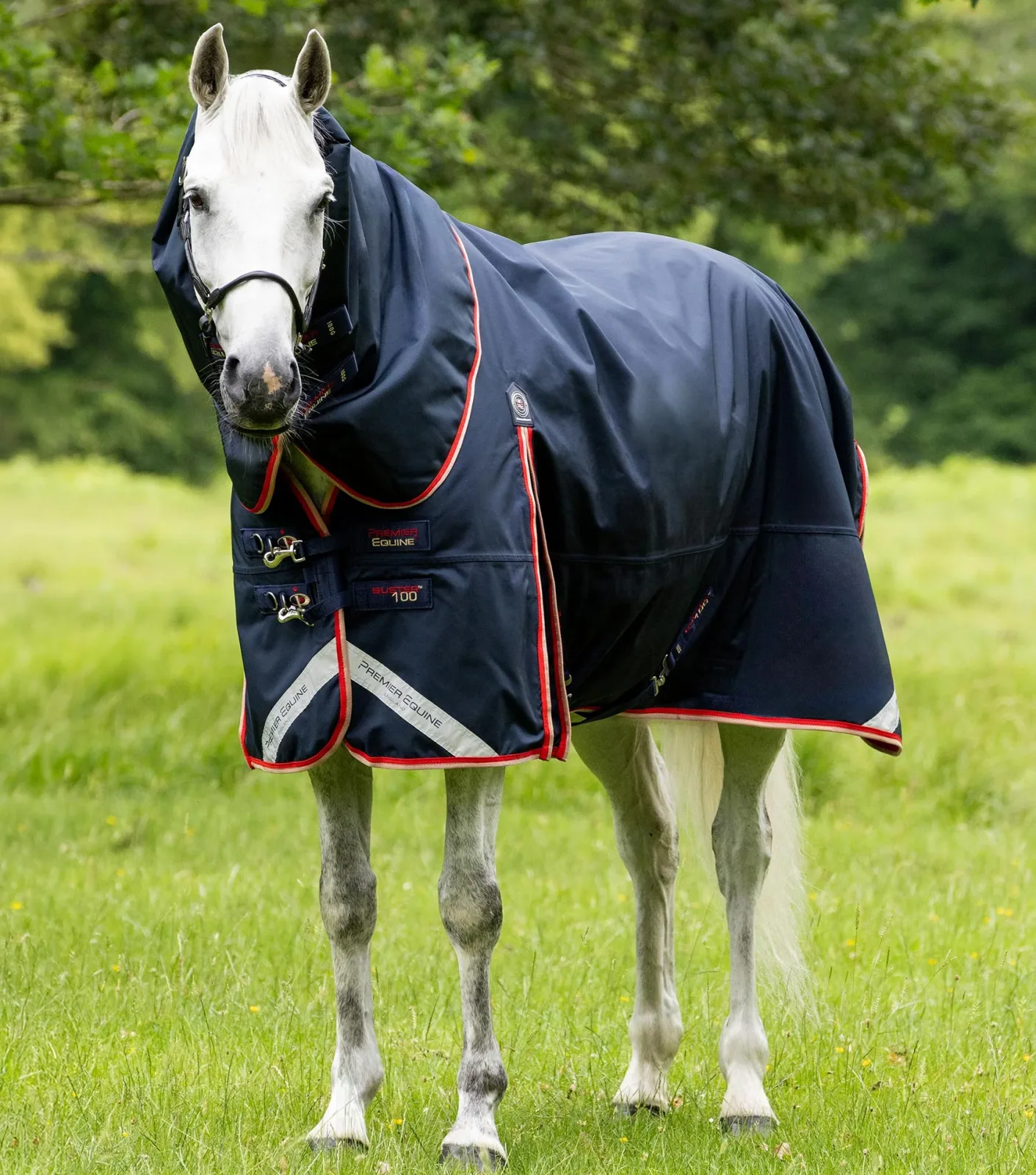 Buster 100g Turnout Rug with Snug-Fit Neck Cover Navy