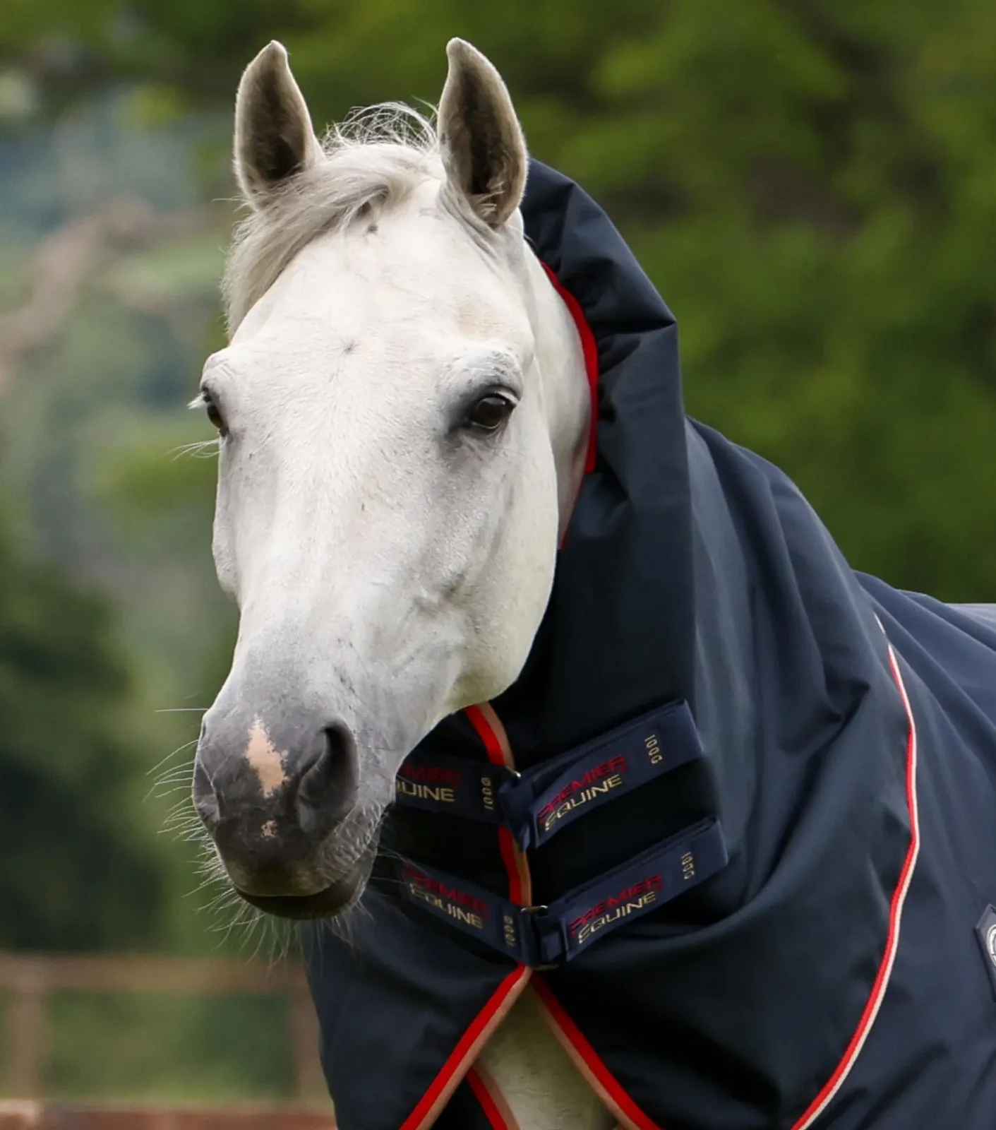 Buster 100g Turnout Rug with Snug-Fit Neck Cover Navy - Image 2
