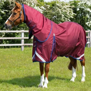 Buster 40g Turnout Rug with Classic Neck Cover Burgundy