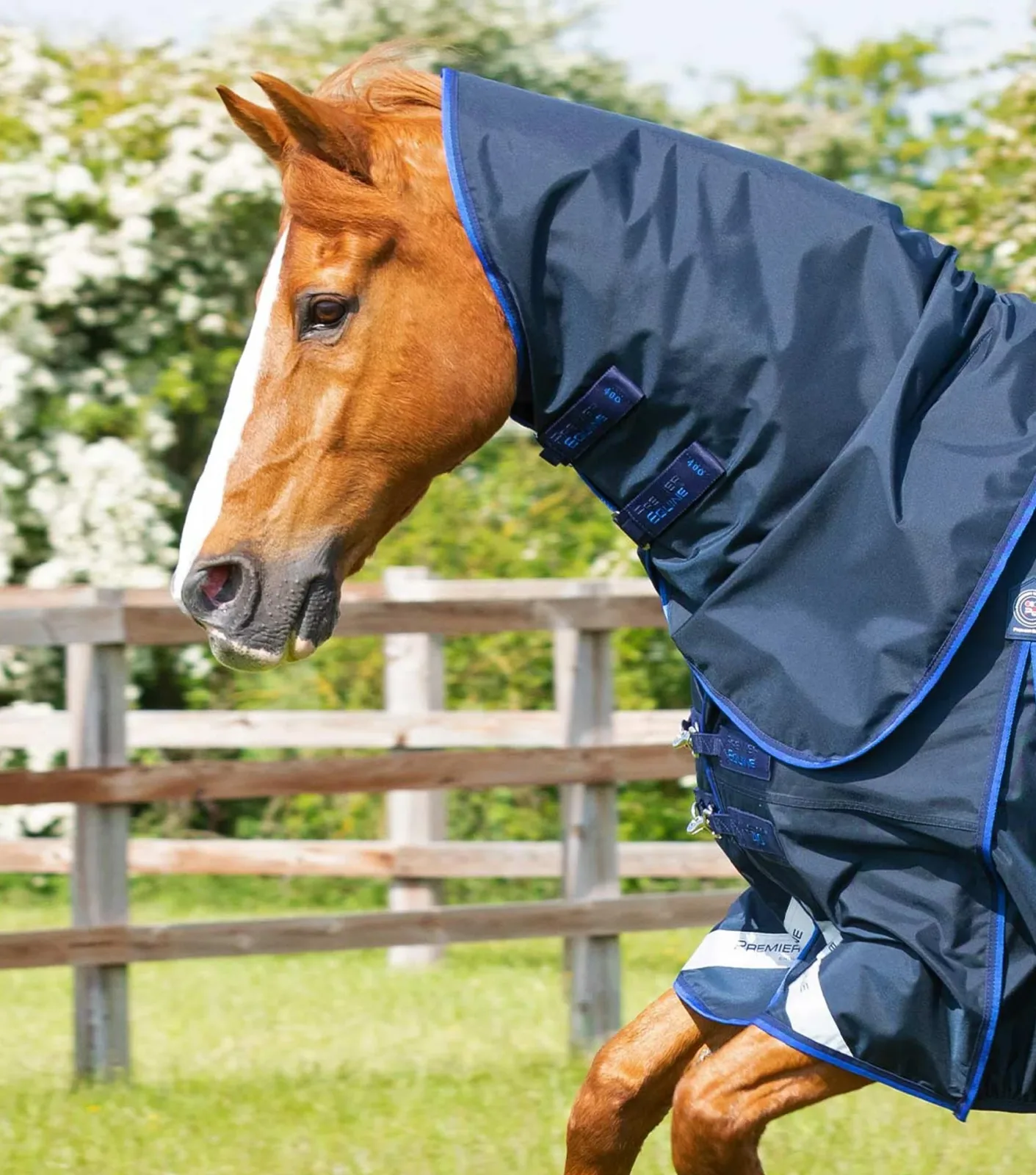 Buster 40g Turnout Rug with Classic Neck Cover Navy - Image 2