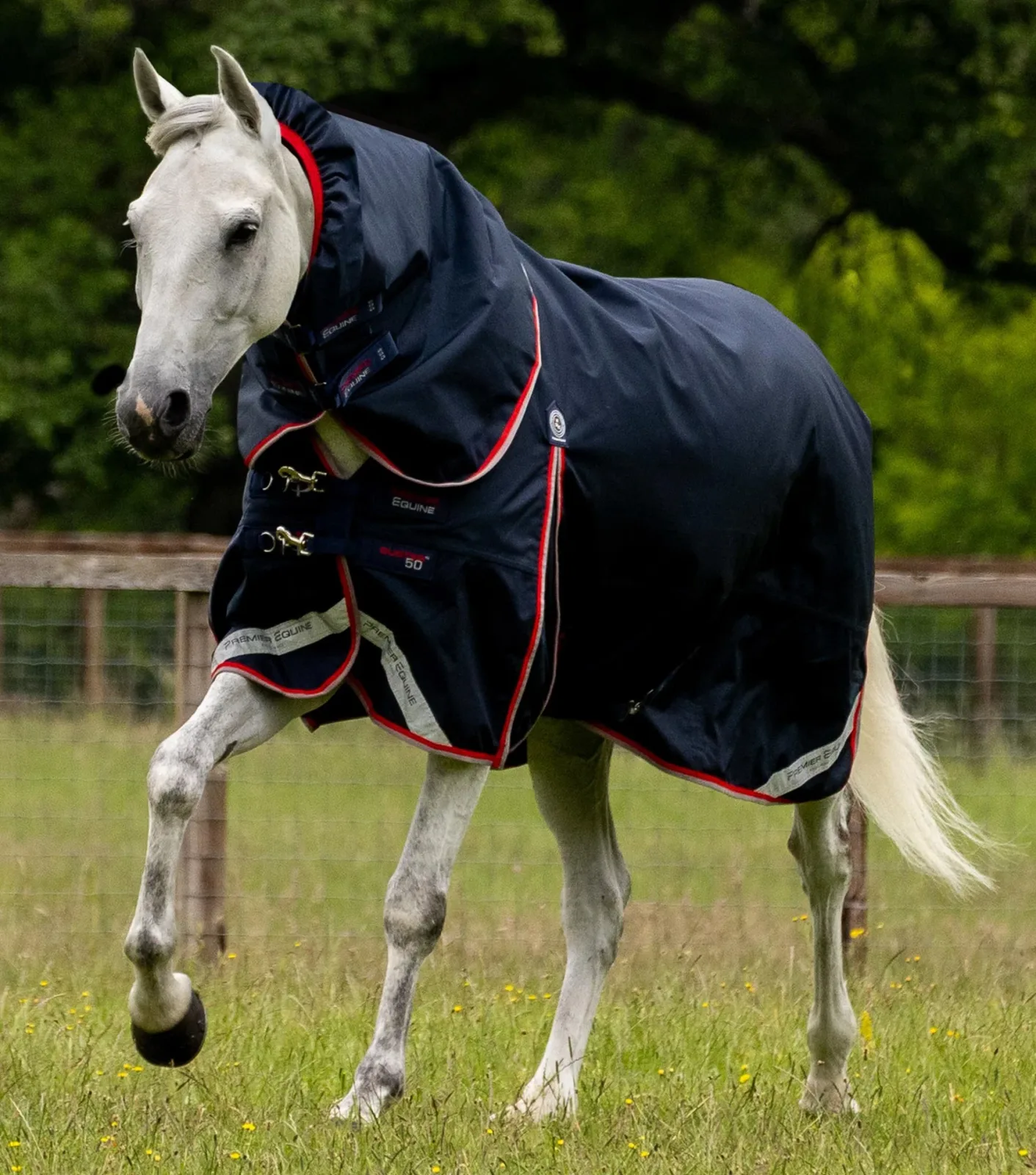 Buster 50g Turnout Rug with Snug-Fit Neck Cover Navy