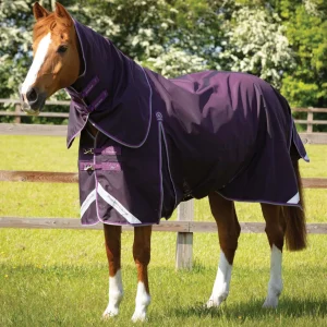 Buster 70g Turnout Rug with Classic Neck Cover Purple