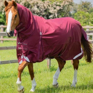 Buster Storm 90g Combo Turnout Rug with Classic Neck Burgundy