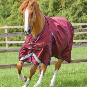 Buster Zero Original Turnout Rug Burgundy