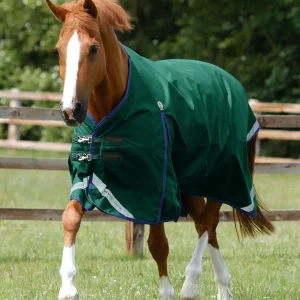 Buster Zero Original Turnout Rug Green
