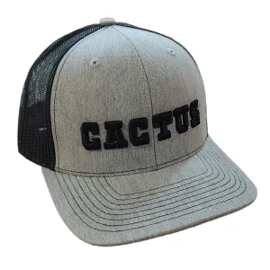 Cactus Gear Heather Grey and Black 3D Cactus Snapback