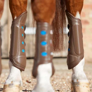 Carbon Tech Air Cooled Eventing Boots Brown Hind