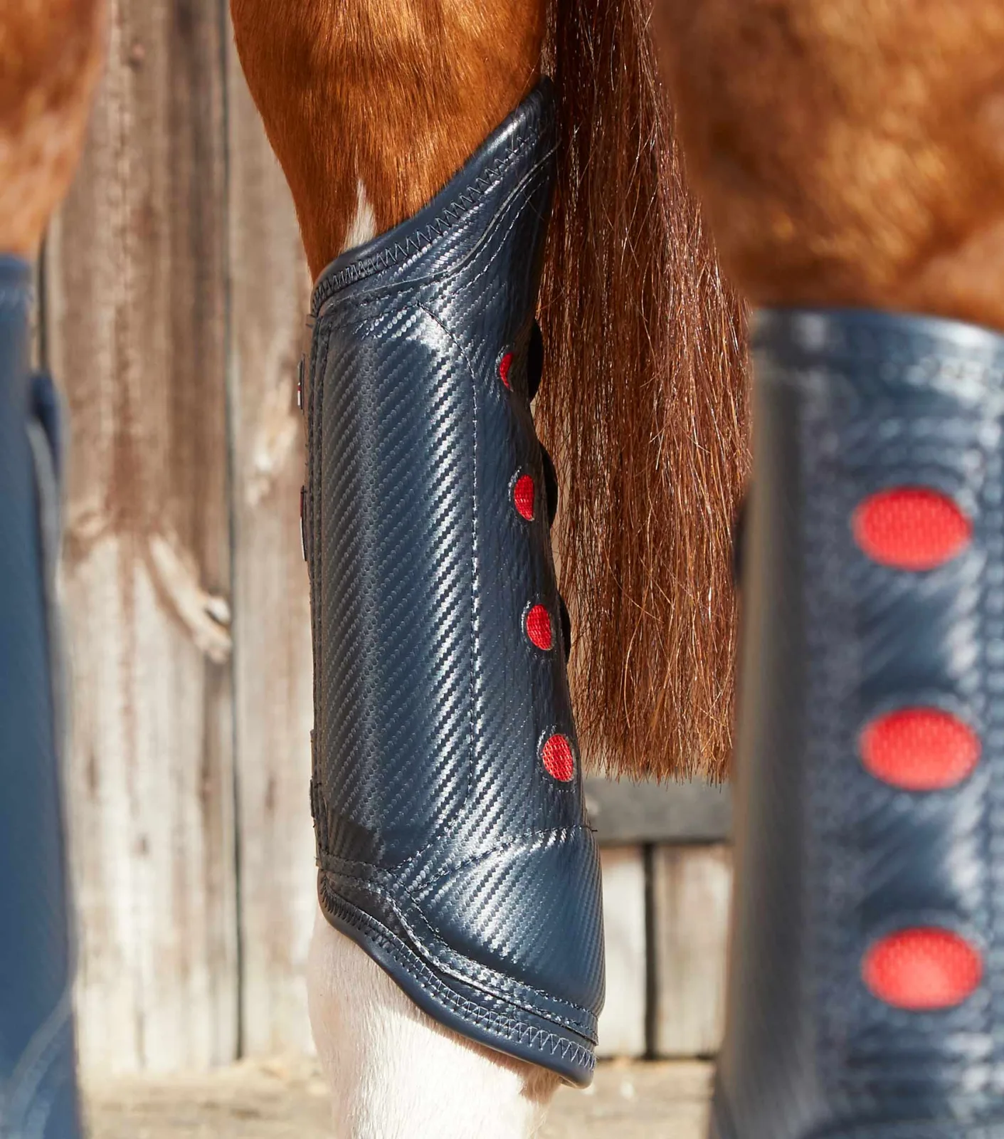 Carbon Tech Air Cooled Eventing Boots Navy Hind - Image 2