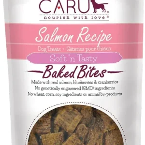 Caru Natural Salmon Recipe Bites Soft and Chewy Dog Treats - 4 oz