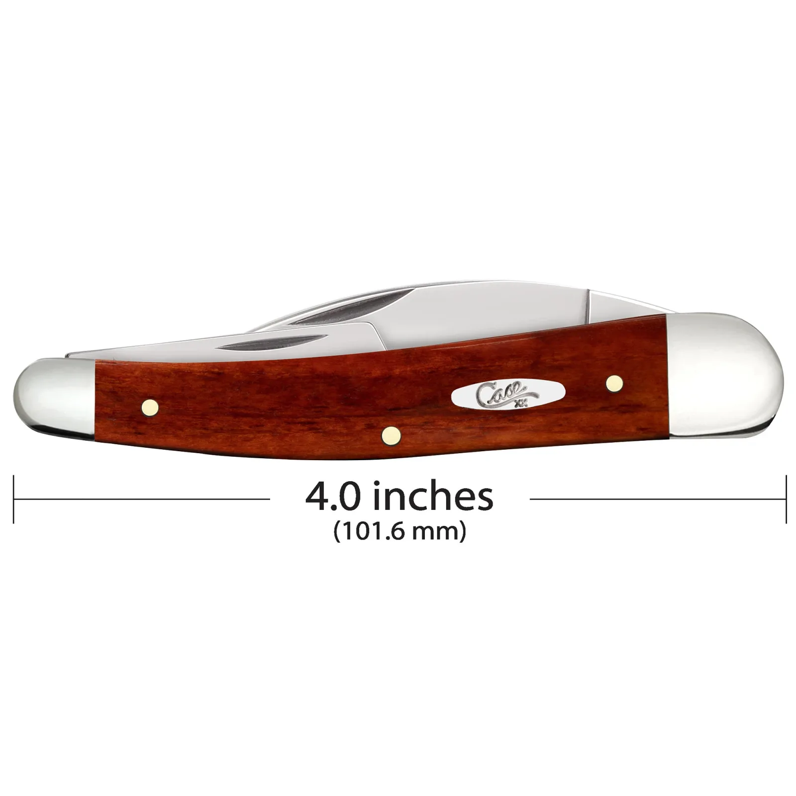 Case Chestnut Bone - Smooth Seahorse Whittler - Image 2