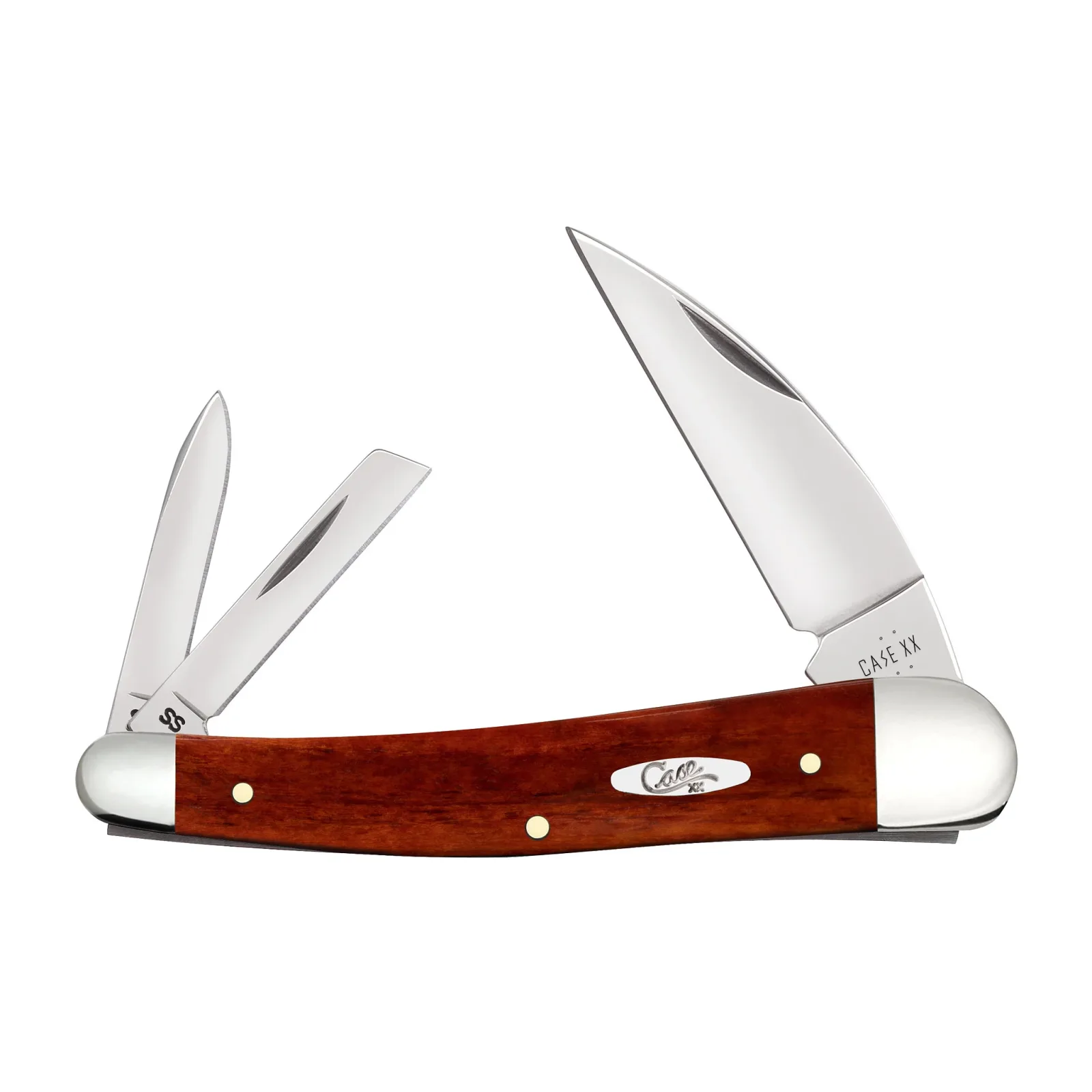 Case Chestnut Bone - Smooth Seahorse Whittler