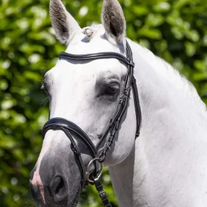 Cassano Anatomical Snaffle Bridle with Flash Black