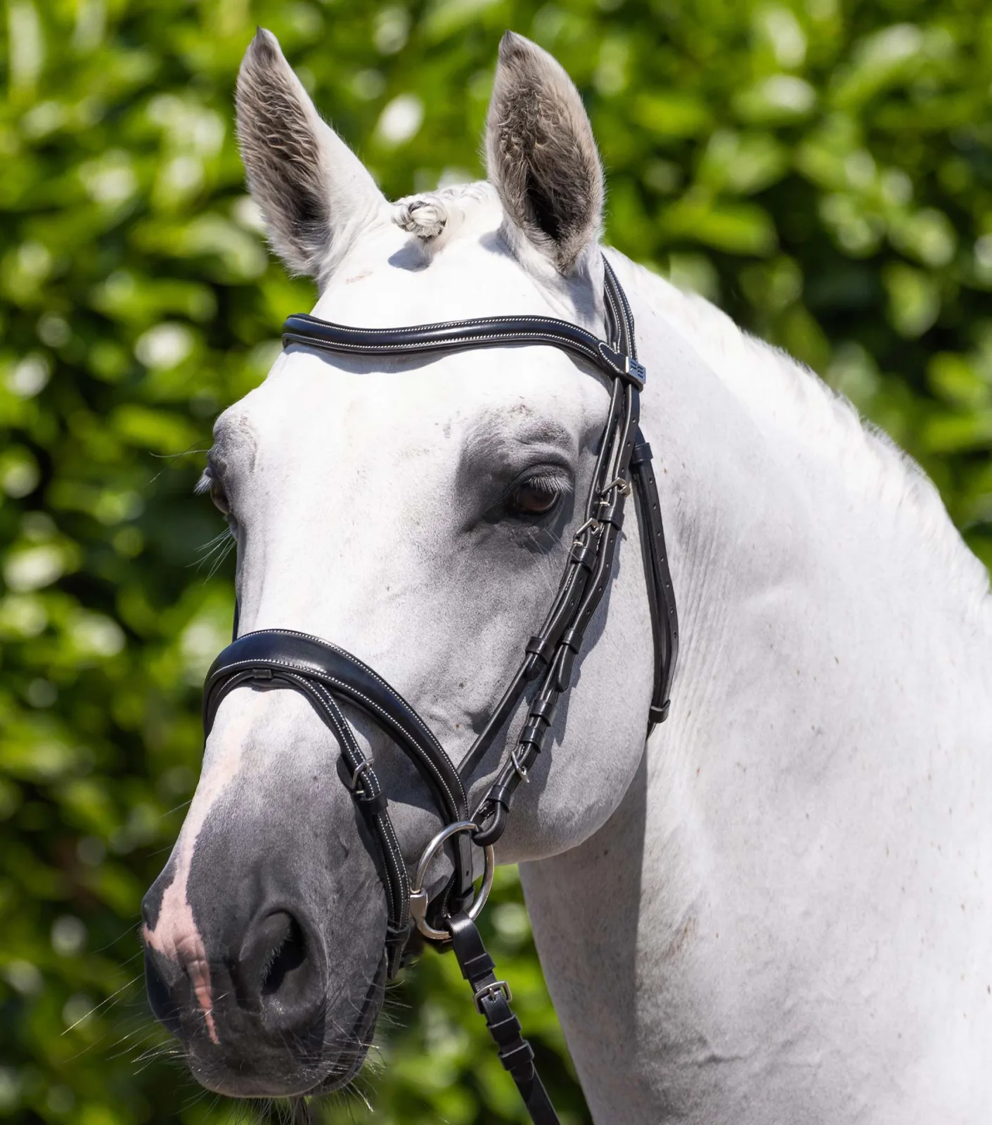 Cassano Anatomical Snaffle Bridle with Flash Black