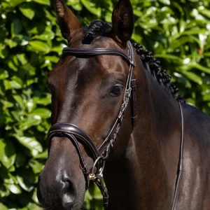 Cassano Anatomical Snaffle Bridle with Flash Brown