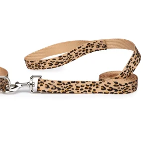 Casual Canine Animal Print Lead 6Ftx1In Cheetah