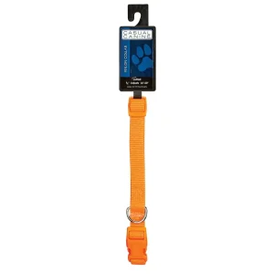 Casual Canine Dog Collar 18-26In Orange
