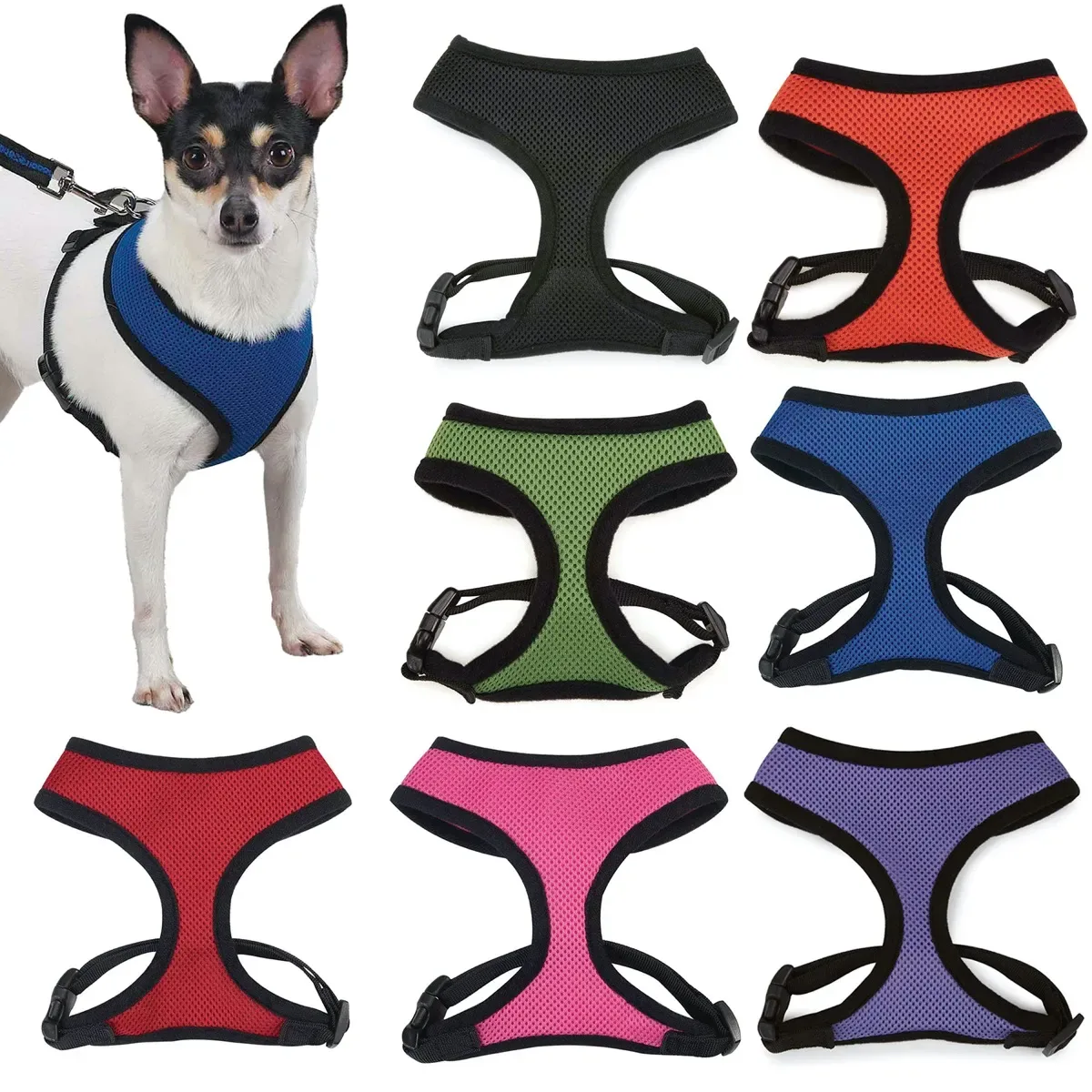 Casual Canine Mesh Harnesses