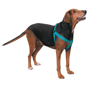 Casual Canine Nylon 2 Step Harness 15-25In Blue
