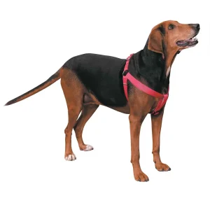 Casual Canine Nylon 2 Step Harness 15-25In Pink